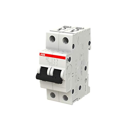 ABB Miniatyrkretsbrytare S202-B6, 2-polig, typ B, brytkapacitet 6/10 kA, 6 A ström (2CDS252001R0065) 4016779466400