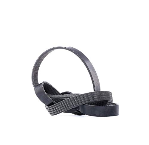Flerspårsrem DAYCO 5PK1095S 8021787017311