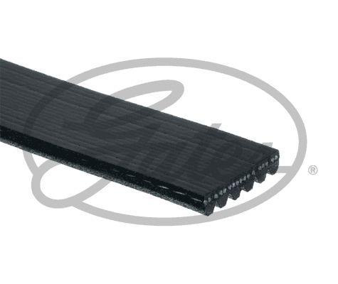 Flerspårsrem GATES 6PK1027SF 5400608495980