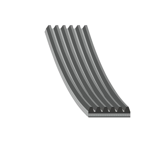 FEBI BILSTEIN 28930 Poly-V Rem Flerspårsrem 4027816289302