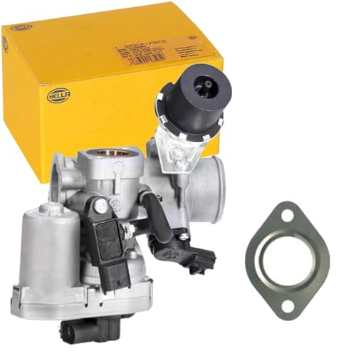 Egr Ventil Hella 6NU 010 171 4082300506655