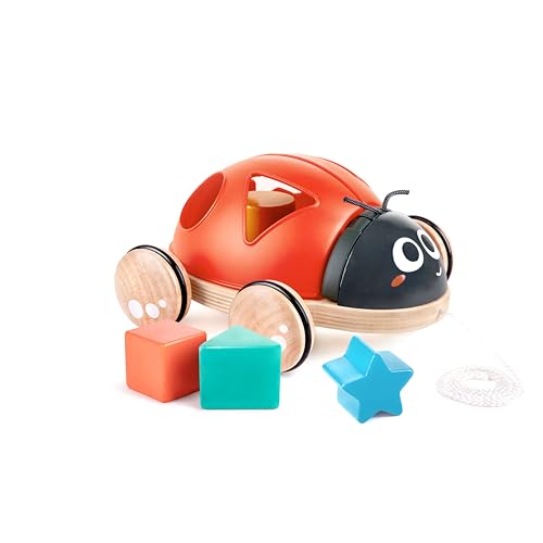 Hape Formsorterare Nyckelpiga - Flerfärgad - E0364 6943478034969