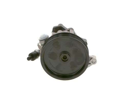 Bosch Styrservopump K S00 000 691 4047025451451